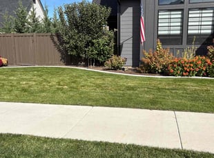 Hope D.'s grass cutting service result