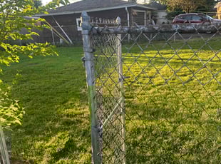 Kurtis K.'s turf maintenance service result