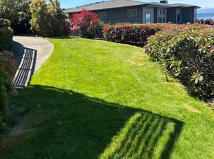 John D.'s grass cutting service result