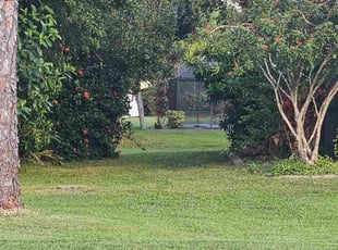 Tina C.'s turf care service result