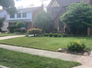 Nicole G.'s turf maintenance service result