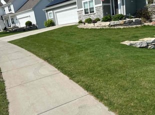 Carolyn J.'s lawn care services service result