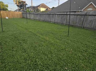 Stacey A.'s turf maintenance service result