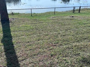 Ann E.'s lawn care services service result