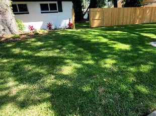 Cornelia G.'s turf care service result
