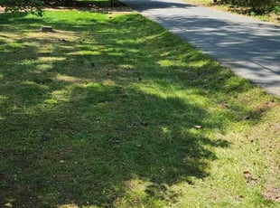 Sandra M.'s lawn care services service result