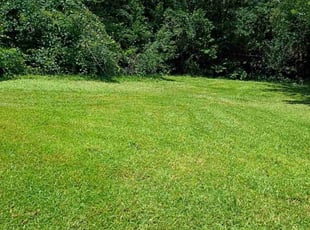 Matt H.'s turf maintenance service result