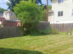 Colton S.'s Bush Trimming service result