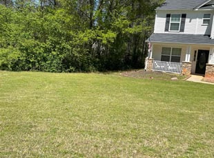 Scott F.'s grass cutting service result