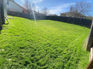 Stacy F.'s turf maintenance service result
