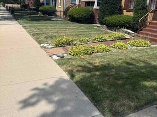 Nicole T.'s turf maintenance service result