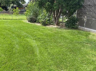 Aaron M.'s grass cutting service result