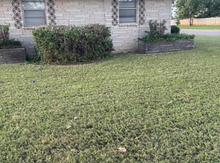 Richard S.'s Bush Trimming service result