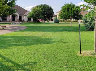 Michael D.'s turf care service result