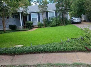 Antia H.'s lawn maintenance service result