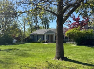 Marie N.'s turf maintenance service result