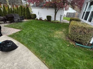Edward S.'s Leaf Removal service result