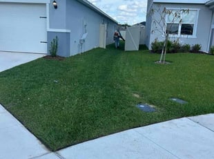 Susan S.'s lawn care service result