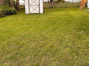 Kristy A.'s lawn care services service result