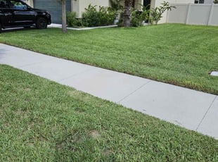 Gina D.'s lawn care services service result
