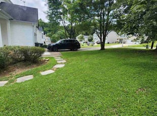 Precious M.'s lawn service service result