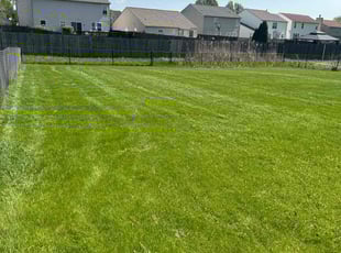 Haley H.'s turf maintenance service result