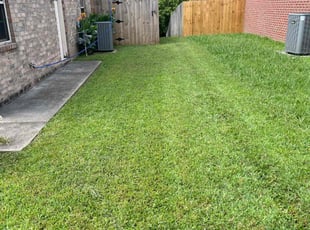 James B.'s lawn service service result