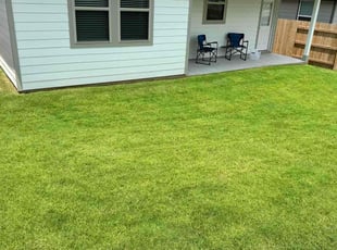 Kia P.'s lawn care services service result