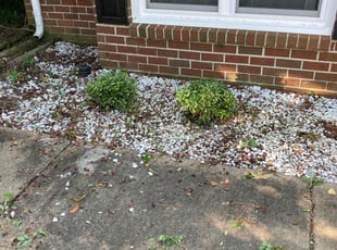 Samantha C.'s Bush Trimming service result