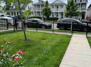 Kim W.'s grass cutting service result