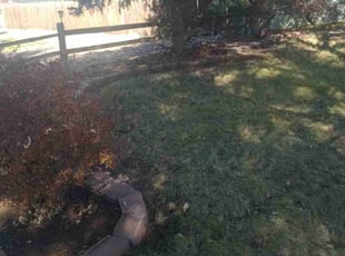 Linda P.'s Leaf Removal service result