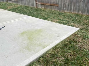 Michael G.'s lawn care services service result