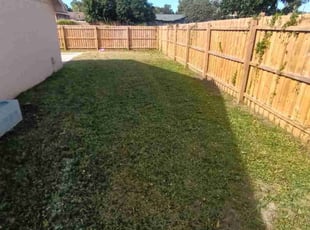 Kash J.'s lawn care services service result