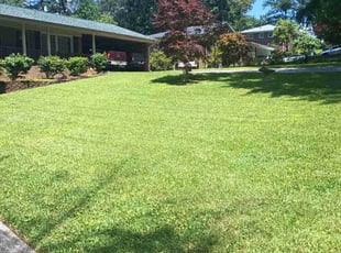 Salvador M.'s lawn maintenance service result