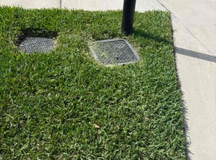 Reji S.'s lawn care service result