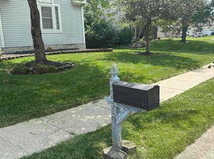 Alexsis T.'s grass maintenance service result