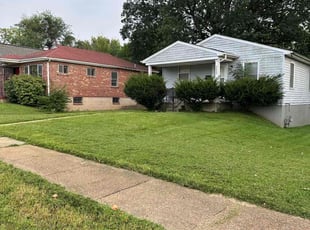 Austin T.'s turf care service result