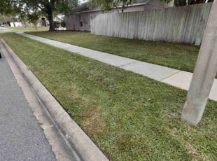 Laura M.'s turf maintenance service result