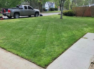 Donald H.'s turf care service result