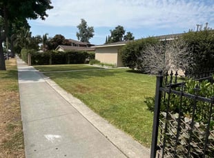 Zechariah B.'s turf maintenance service result