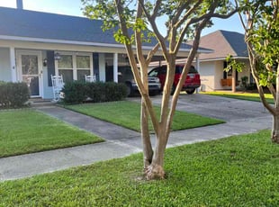 Morris N.'s lawn care service result