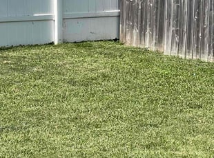 Sheila E.'s grass maintenance service result