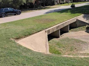 Martin C.'s turf care service result