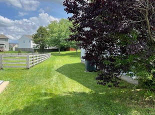 Uihyun G.'s grass maintenance service result