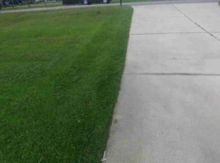 Dan S.'s lawn care services service result