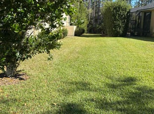 Regina C.'s grass maintenance service result