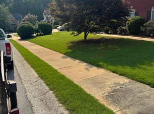 Susan G.'s turf care service result