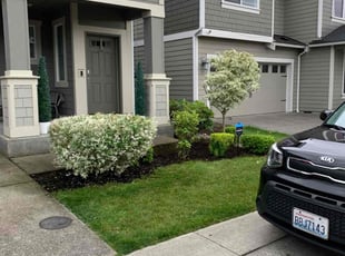 Stacey K.'s Bush Trimming service result