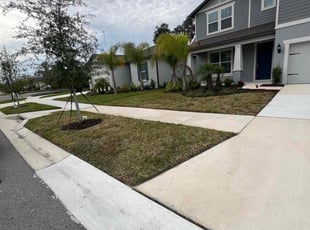 Phyllis A.'s lawn maintenance service result