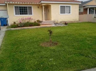 Nicole C.'s lawn care service result